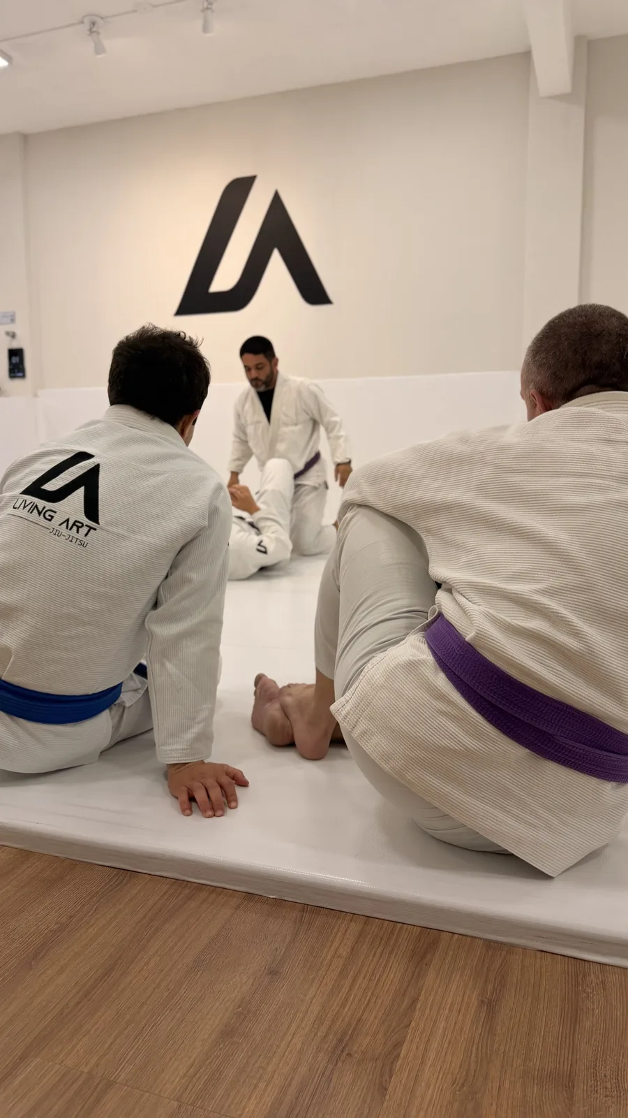 Estrutura da Living Art Jiu-Jitsu