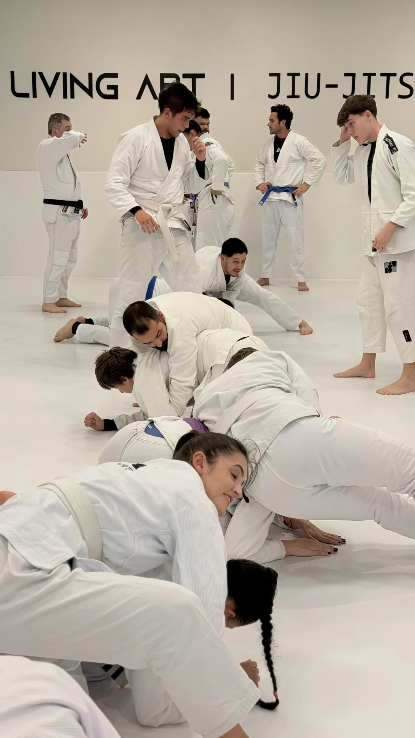 Treino de Jiu-Jitsu na Living Art em Joinville